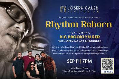 Rhythm Reborn Rhythm Reborn